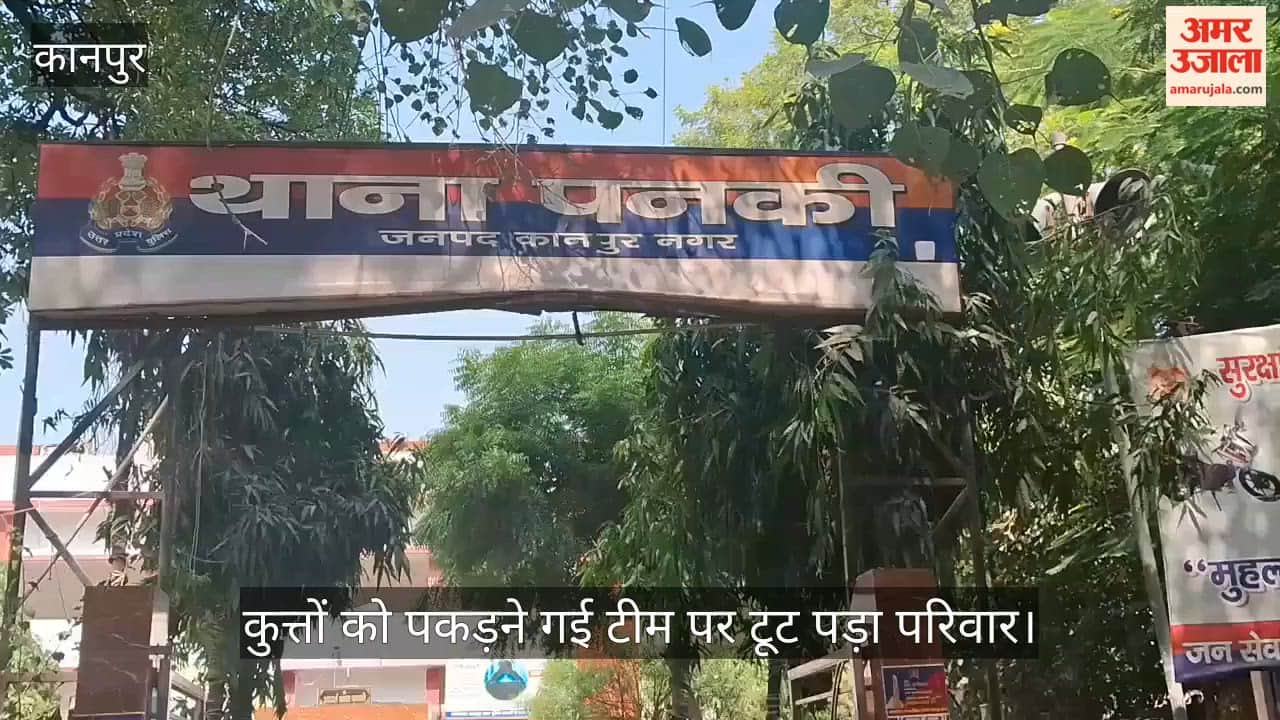 Kanpur: Locals Attack and Beat Municipal Corporation Team Sent to Catch Dogs