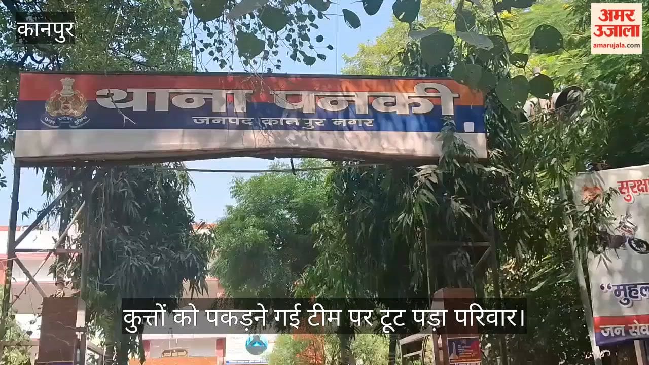 Kanpur: Locals Attack and Beat Municipal Corporation Team Sent to Catch Dogs