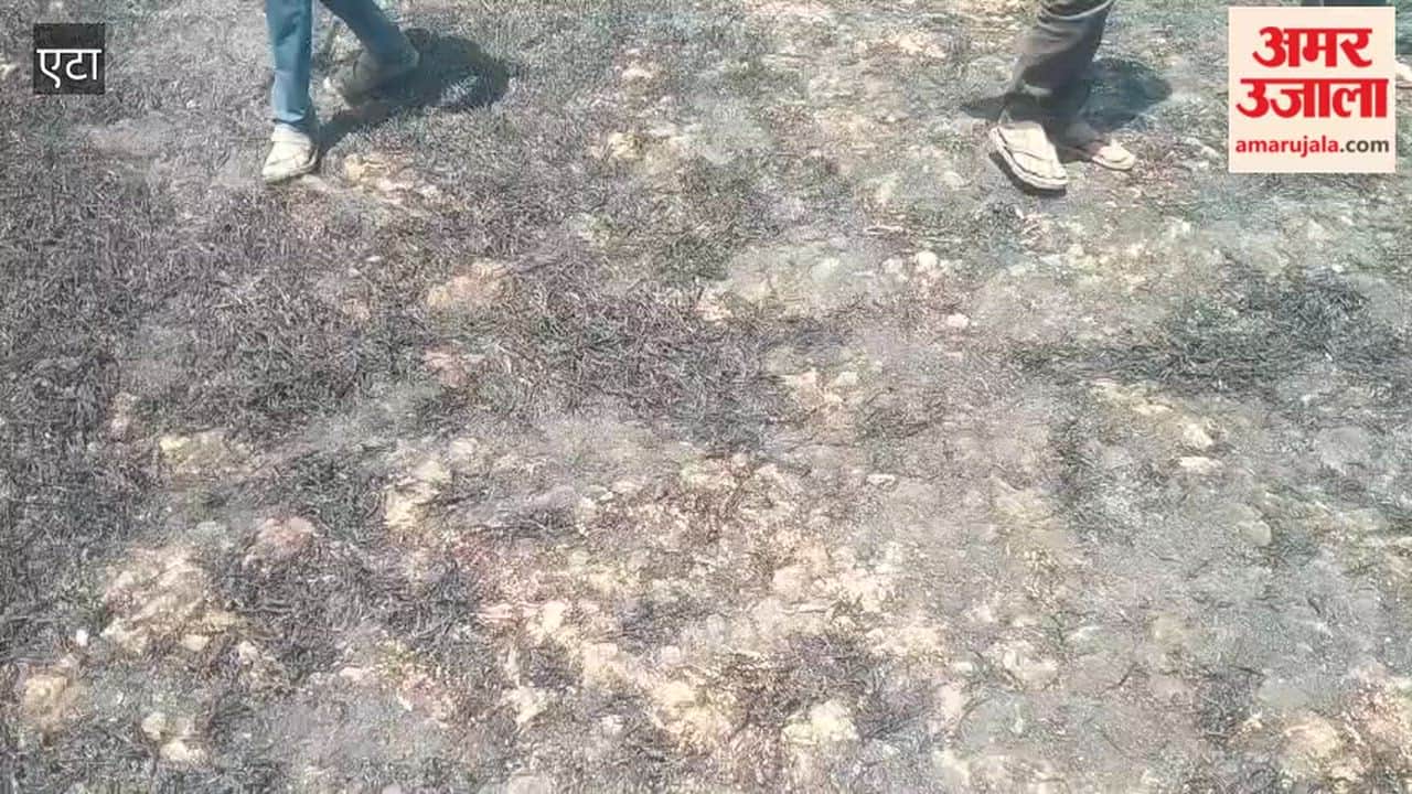 Massive fire destroys 20 bigha wheat crop in Etah village