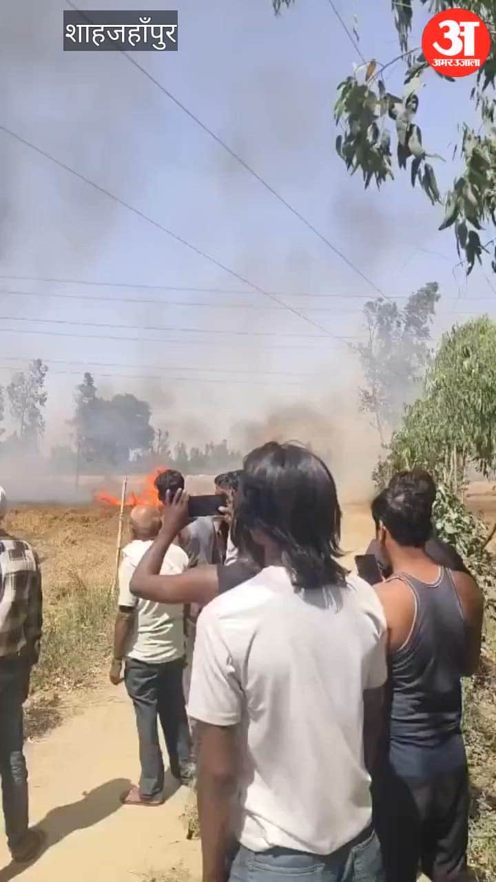 26 Bighas of Wheat Crop Reduced to Ashes After Fire Breaks Out in Fields in Shahjahanpur