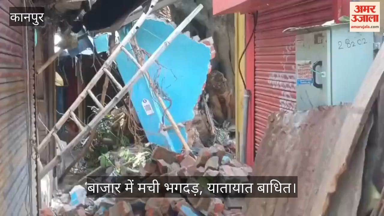 Kanpur Massive Tree Falls in Sisamau Market Pedestrians and Shopkeepers Have Narrow Escape