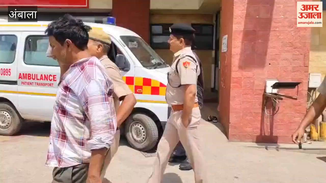 Patient Creates Ruckus in Hospital Emergency in Ambala; Grabs Female Doctor's Hand
