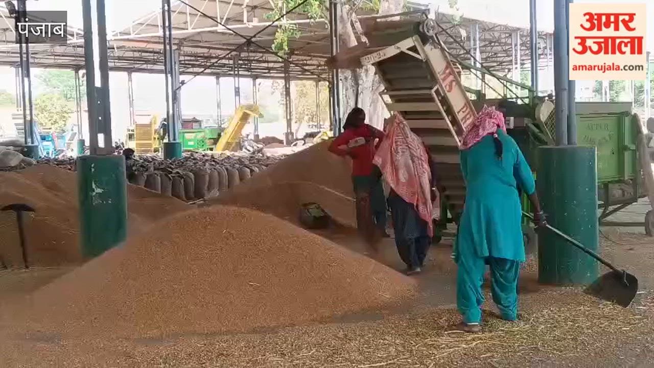 Farmers distressed by slow lifting in Moga mandis wheat procurement continues
