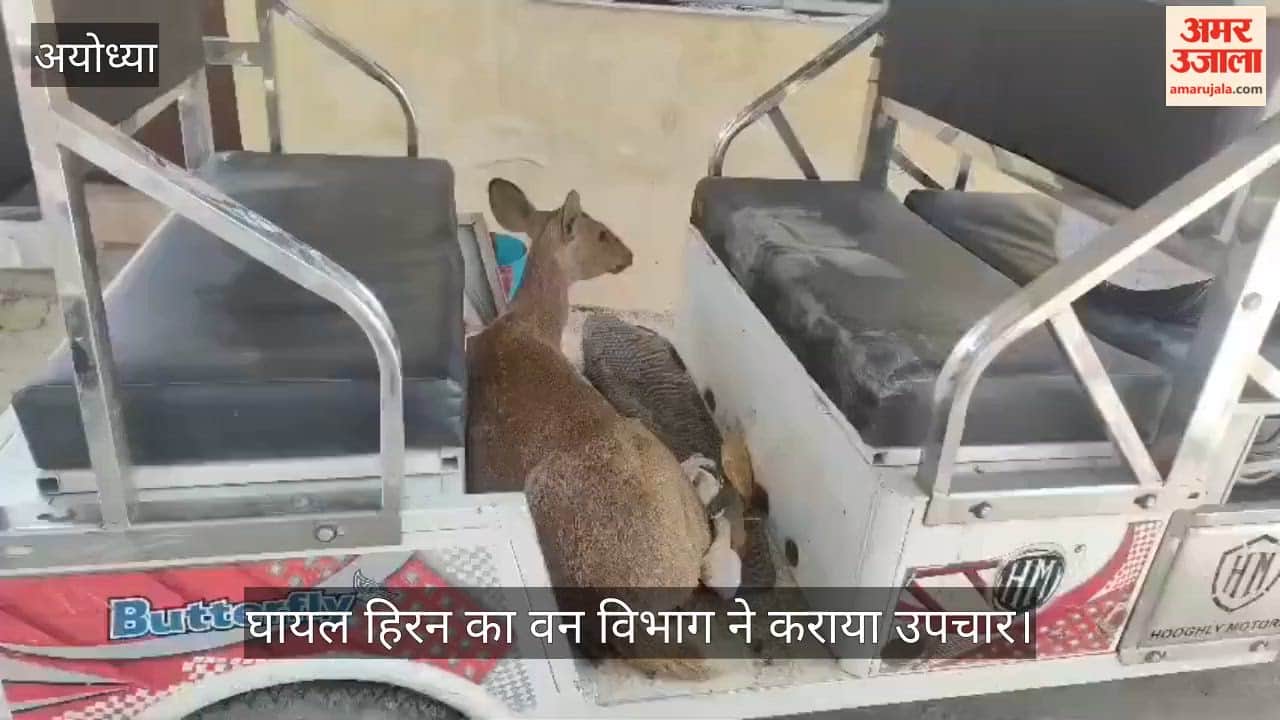 अयोध्या में घायल हिरन का वन विभाग ने कराया उपचार