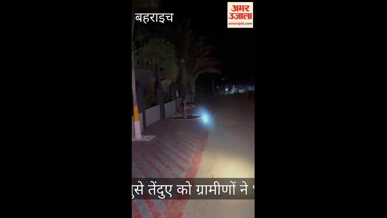बहराइच में घर में घुसा तेंदुआ, ग्रामीणों ने हांका लगाकर भगाया