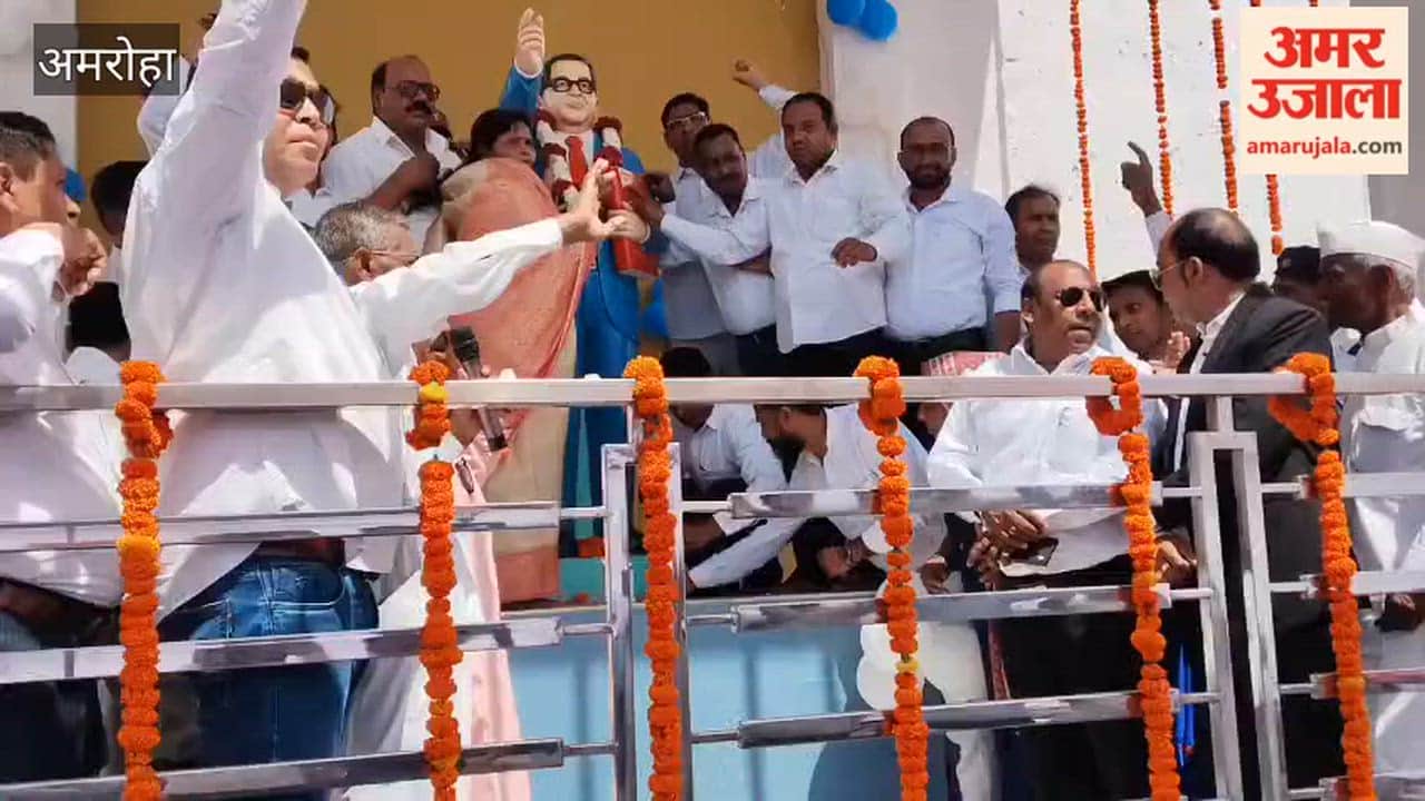 Resolved to follow the ideals set forth by Babasaheb