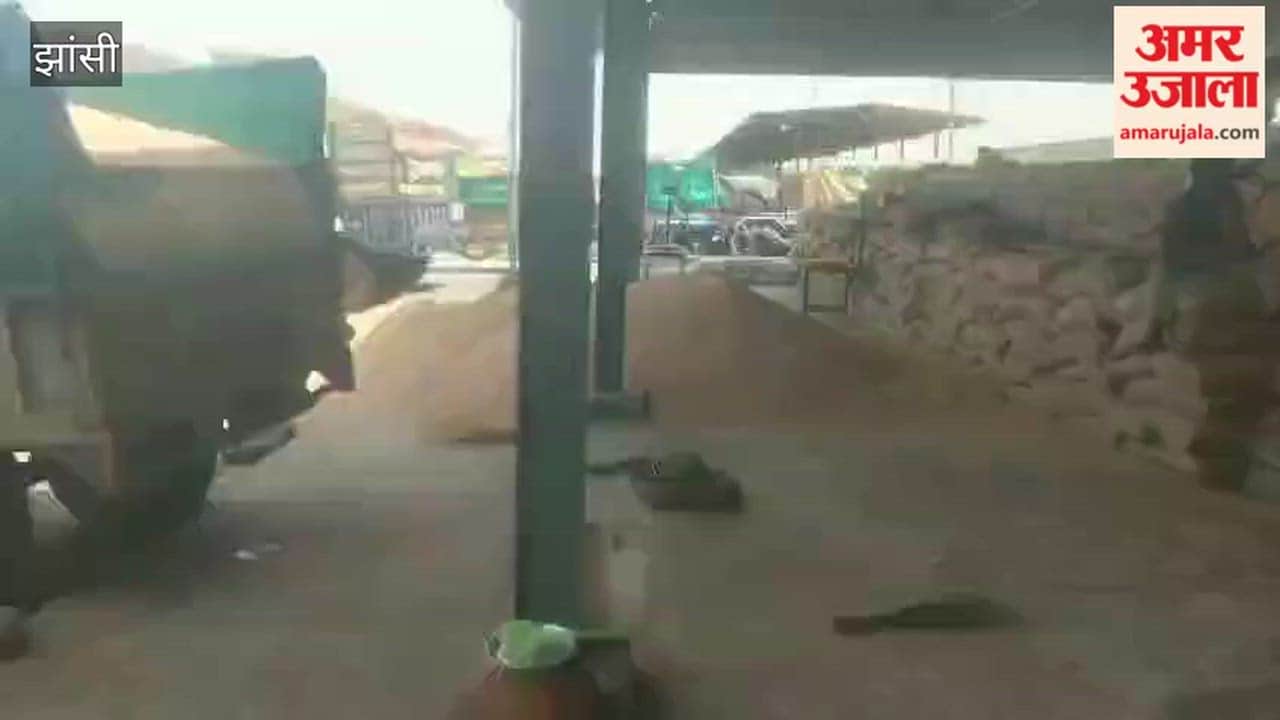 Wheat procurement stalled for four days at Bhojla Mandi due to shortage of gunny bags