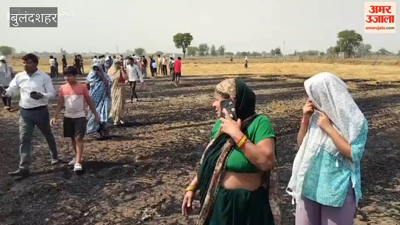 Fire breaks out in 40-bigha field in Mubarakpur village