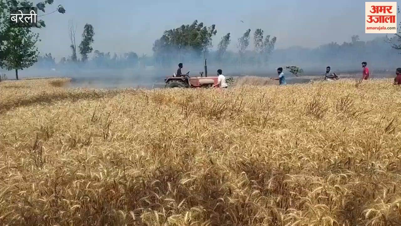 60 bigha wheat crop reduced to ashes due to fire in fields in Bareilly