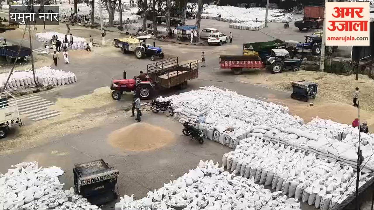 Wheat lifting slow in Jagadhri grain market