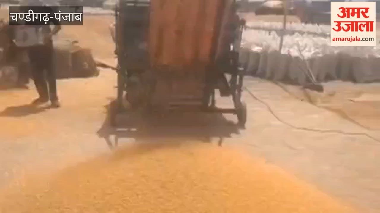 2,43,055 metric tonnes of wheat arrived in the markets of Ferozepur.
