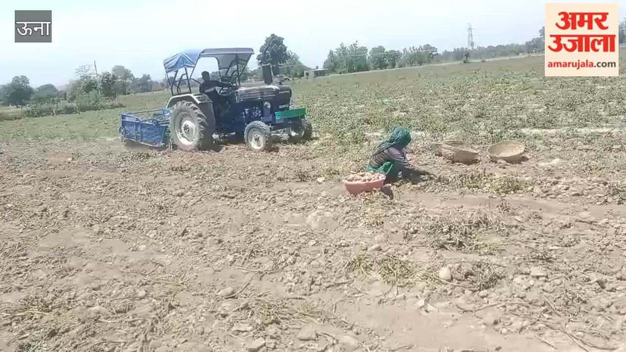 Una: Rising Costs and Falling Prices Heighten Farmers' Concerns