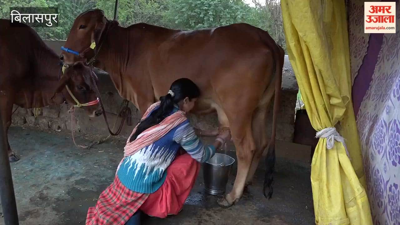 Bilaspur: 30,446 liters of milk are being produced daily in the district; the rural economy is being strengthened by the Minimum Support Price for milk