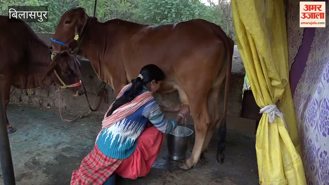 Bilaspur: 30,446 liters of milk are being produced daily in the district; the rural economy is being strengthened by the Minimum Support Price for milk