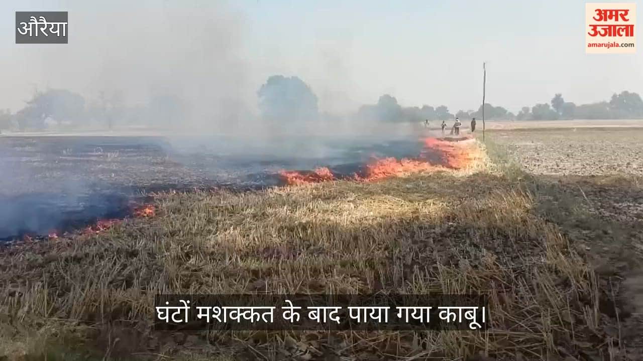 Auraiya Fire Incident: Hundreds of Bighas Crop Residue Destroyed in Banjarhar Village