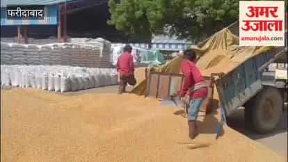 Arrival of wheat increases in Ballabhgarh grain market in Faridabad