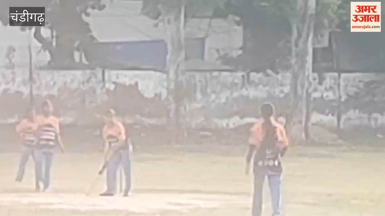 thrill of street cricket in Chandigarh's Sector-19: Team-5 wins the match, executing their responsibilities flawlessly