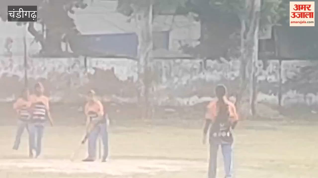 thrill of street cricket in Chandigarh's Sector-19: Team-5 wins the match, executing their responsibilities flawlessly