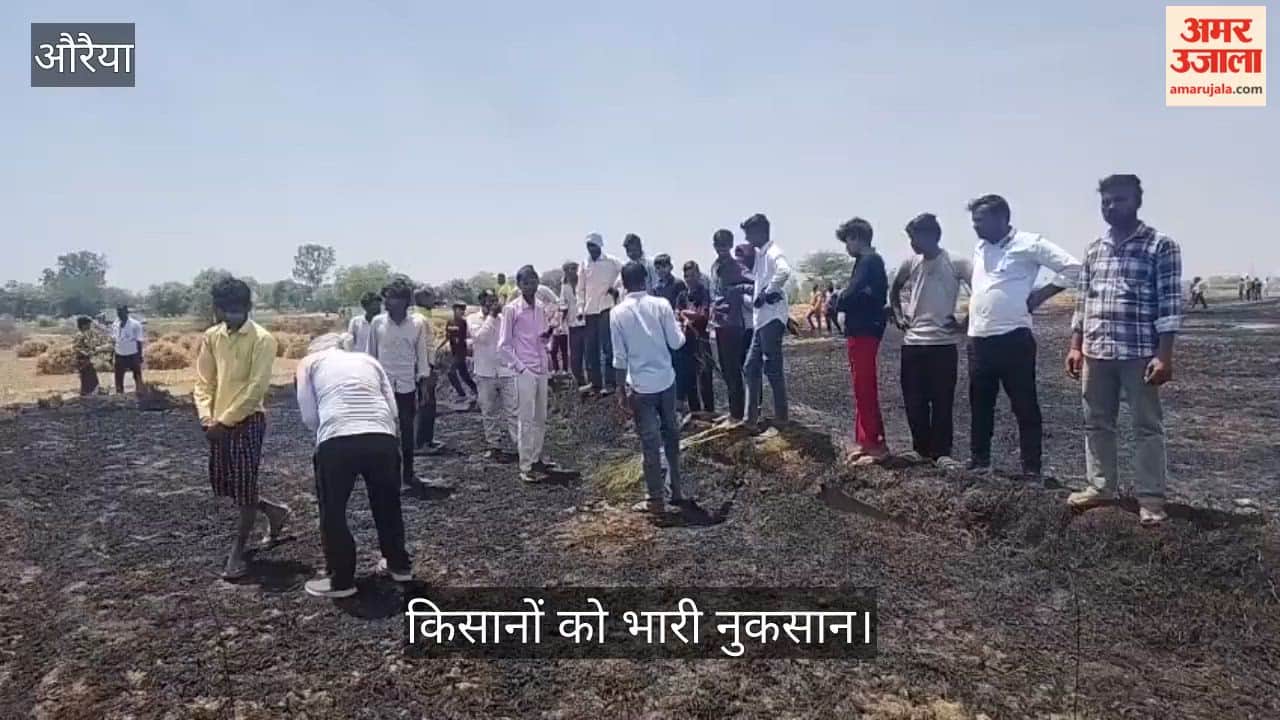 10 Bighas of Crops Reduced to Ashes in Massive Fire in Wheat Fields in Auraiya