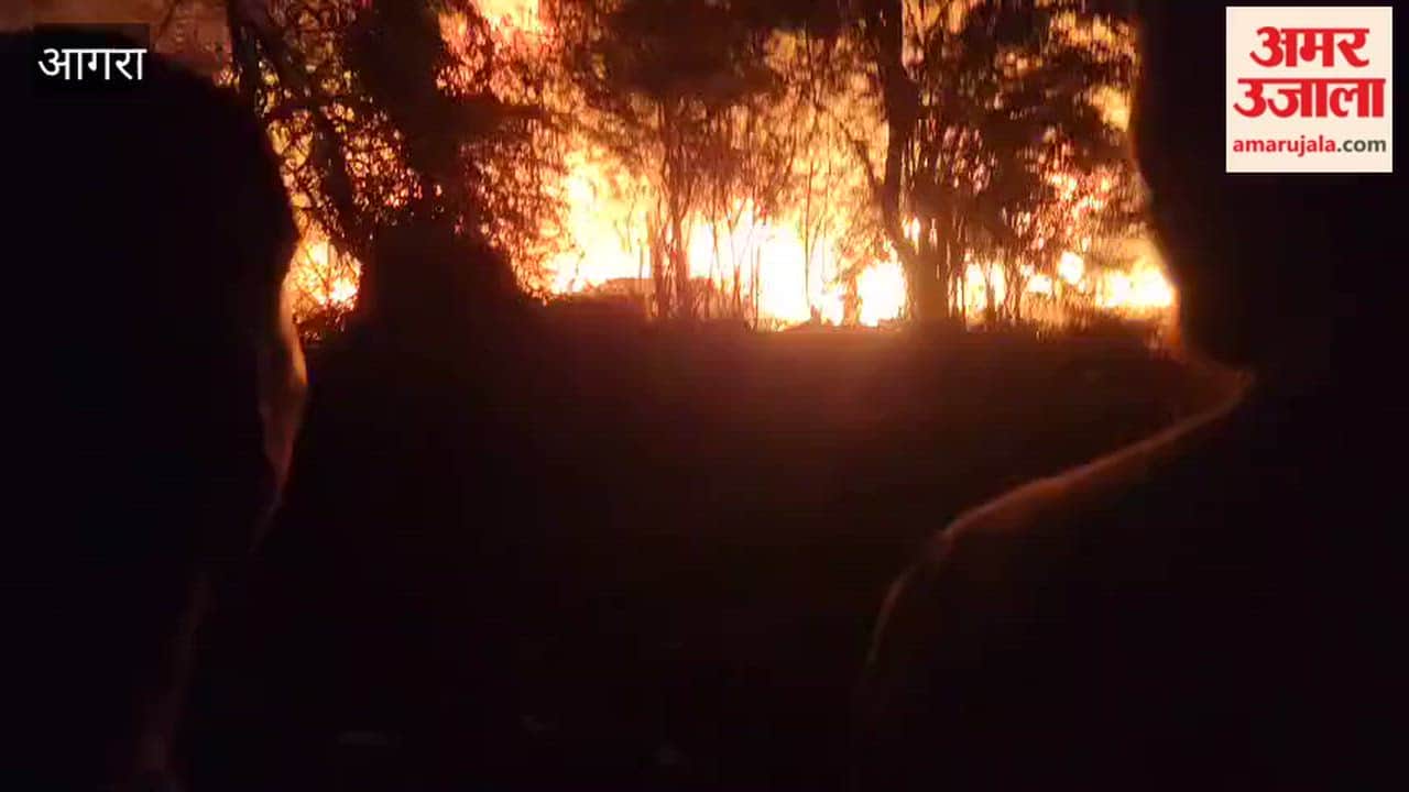 Cylinder Blast Triggers Massive Fire in Fatehpur Sikri Village