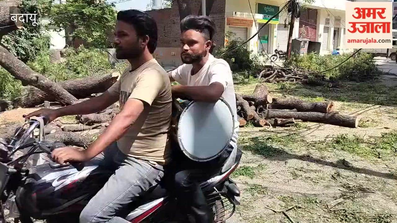 Old Tree Falls on Station Road Two Vehicles Damaged in Budaun