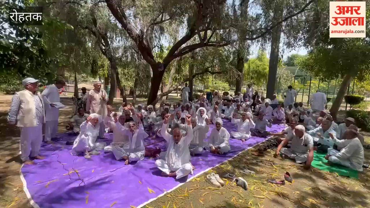 Retired Employees' Association Stages Protest at Mansarovar Park in Rohtak
