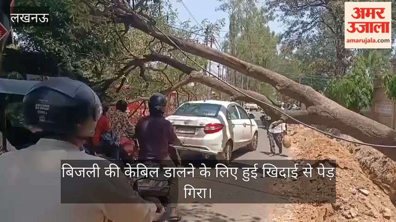 लखनऊ में बिजली की केबिल डालने के लिए हुई खिदाई से पेड़ गिरा, आवागमन में परेशानी