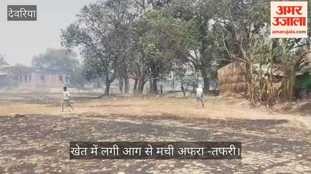 Poultry and animal feed burned in the fire