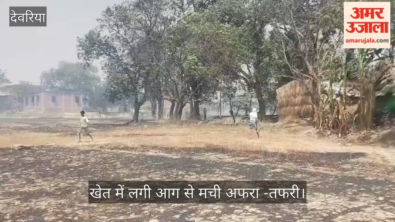 Poultry and animal feed burned in the fire