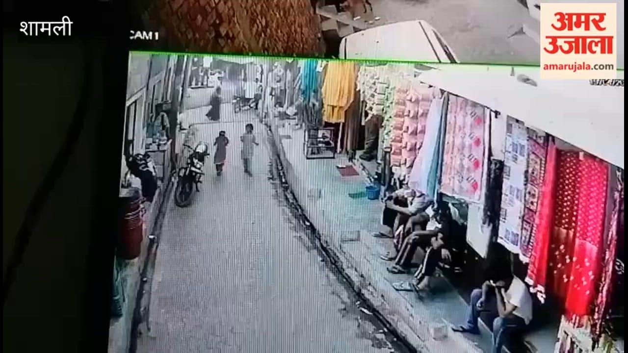 Shamli: A girl was assaulted in public, she was thrown on the road and kicked.