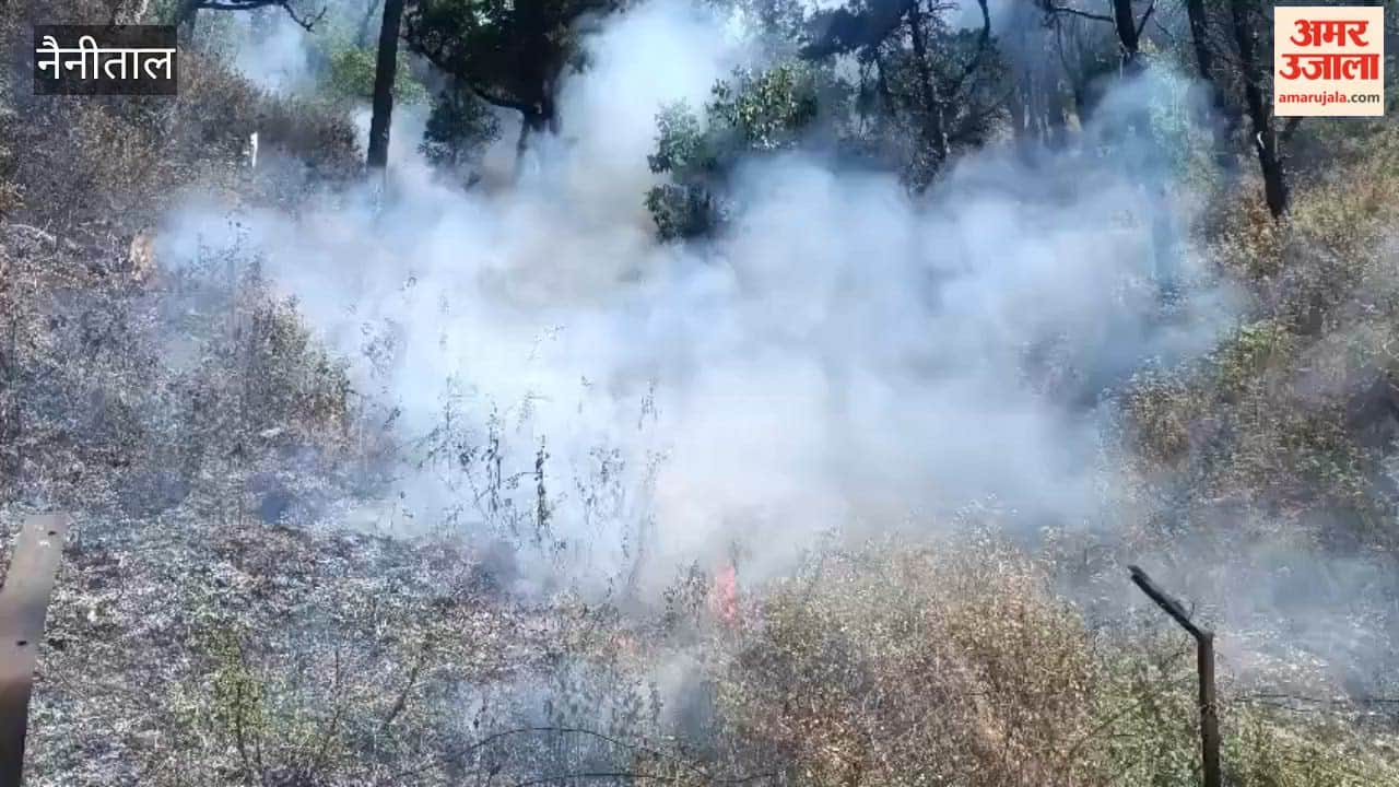Fire breaks out in the forests of Gethiya area of Nainital