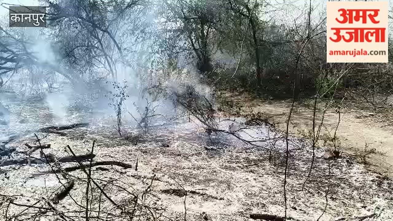 Kanpur: Fire Breaks Out in Forest Area of Railbazar