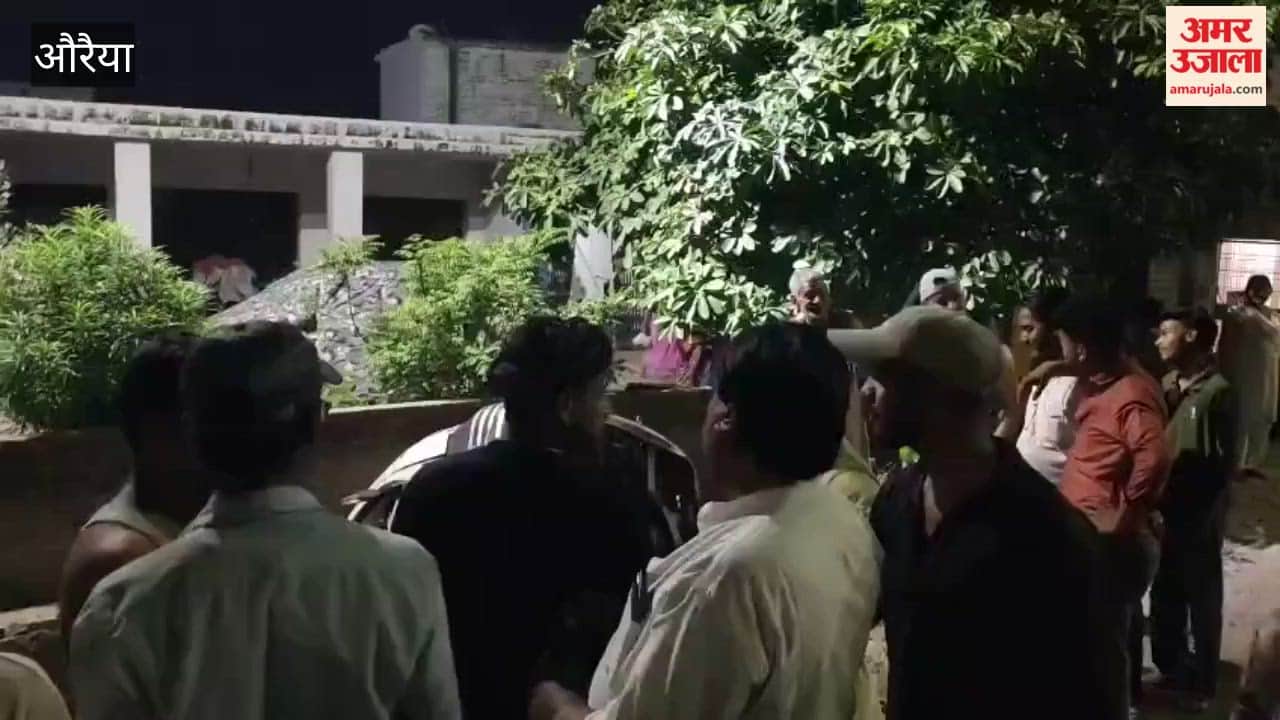 Auraiya: Van Falls into Drain While Reversing; Driver Jumps Out to Save His Life