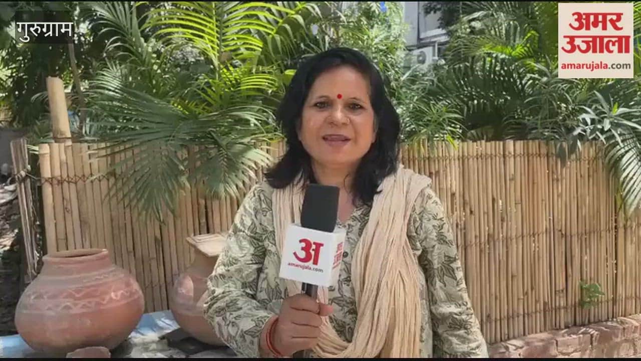 Gurugram News Ensure voiceless creatures do not fall victim to heatstroke