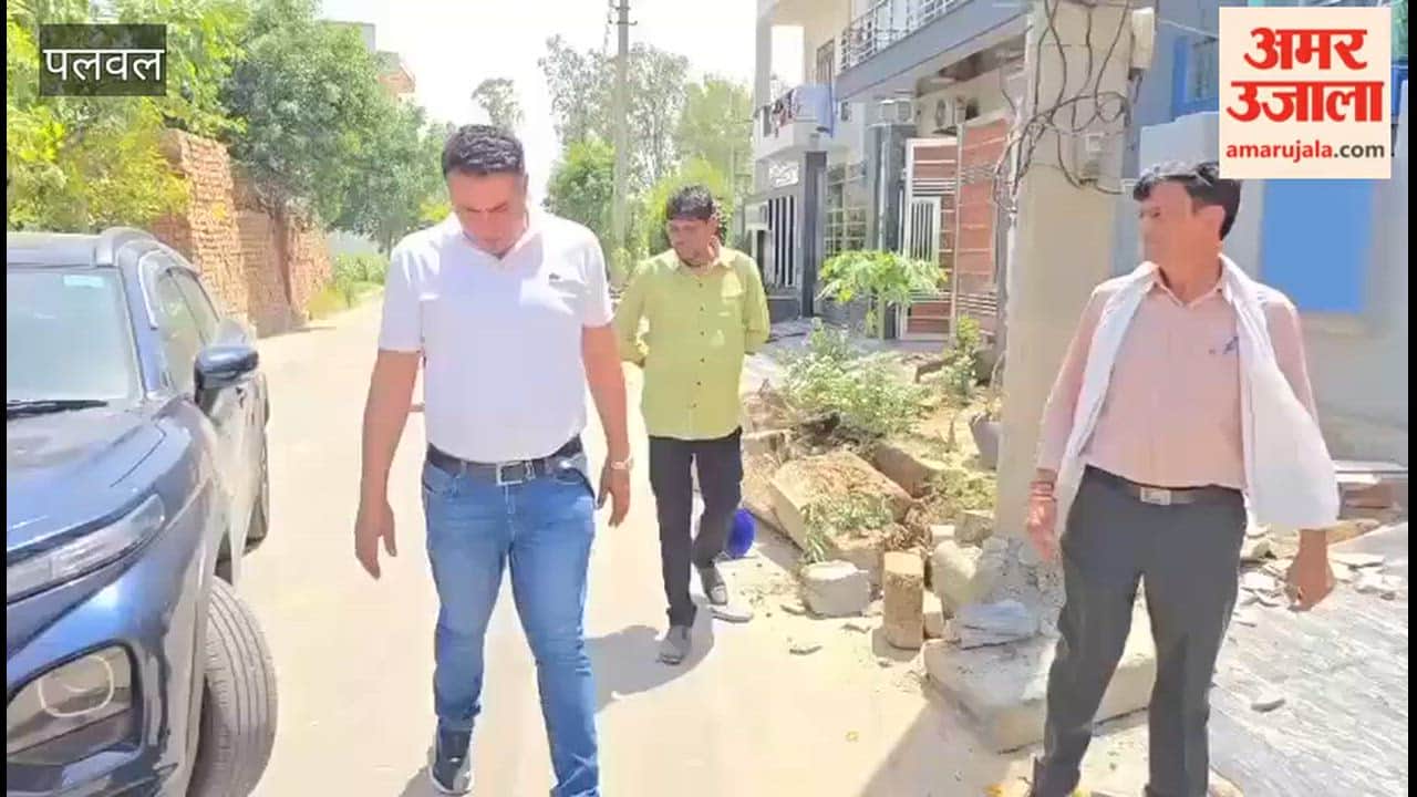 Illegal Encroachments on Green Belt in Palwal Demolished