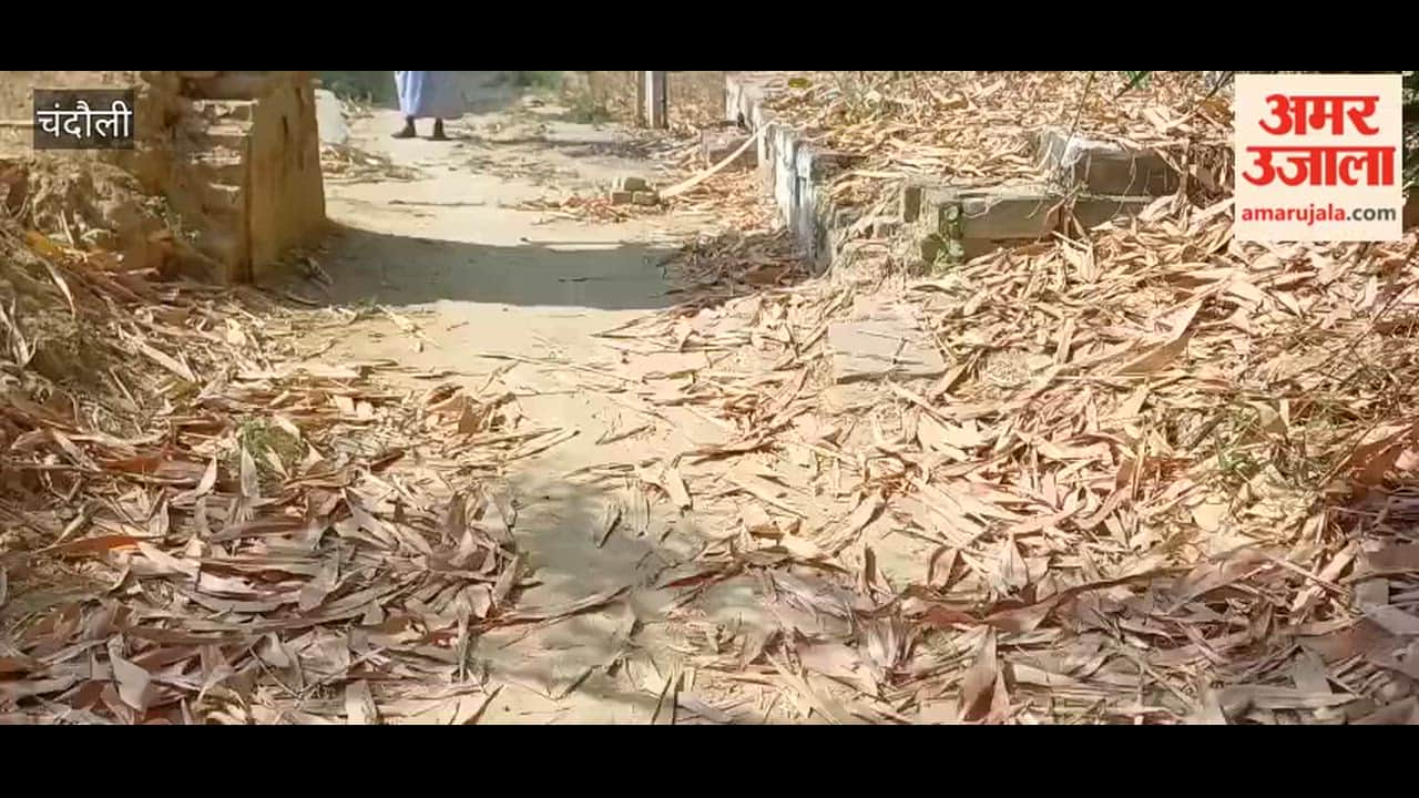 Negligence Leads to Grass Overgrowth Piles of Garbage Paved Road