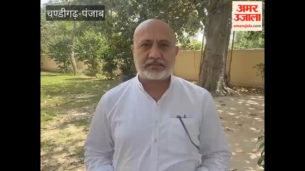 'War Against Drugs and Crackdown on Gangsters': Major Action by Punjab Police; 23,140 Arrested in 92 Days