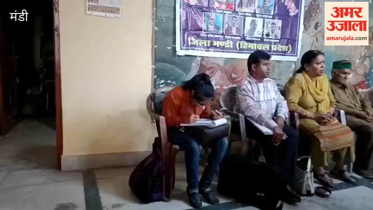 Mandi Divyang Woman Mistreated on Bus; Association Outraged