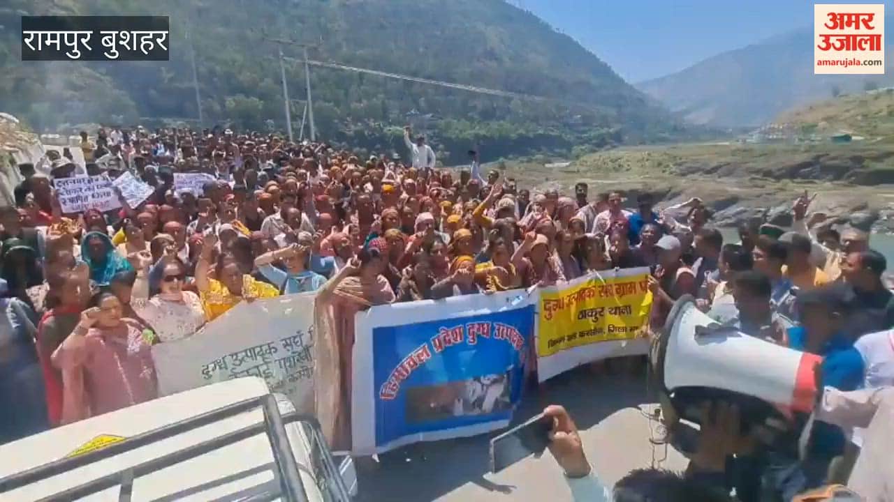 Rampur Bushahr: Milk Producers' Anger Erupts Over Pending Demands; Stage Protest Against Government and Milkfed in Dattnagar