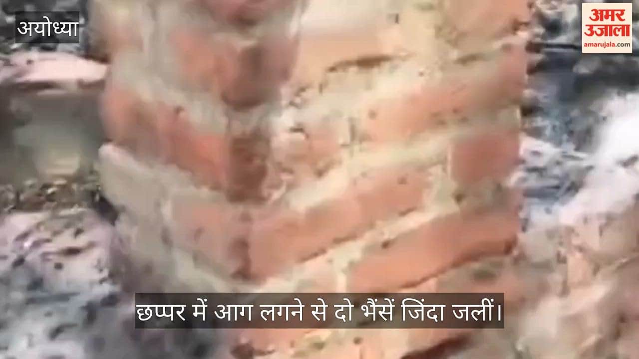 अयोध्या में छप्पर में आग लगने से दो भैंसें जिंदा जलीं, लेखपाल ने नुकसान का आकलन किया