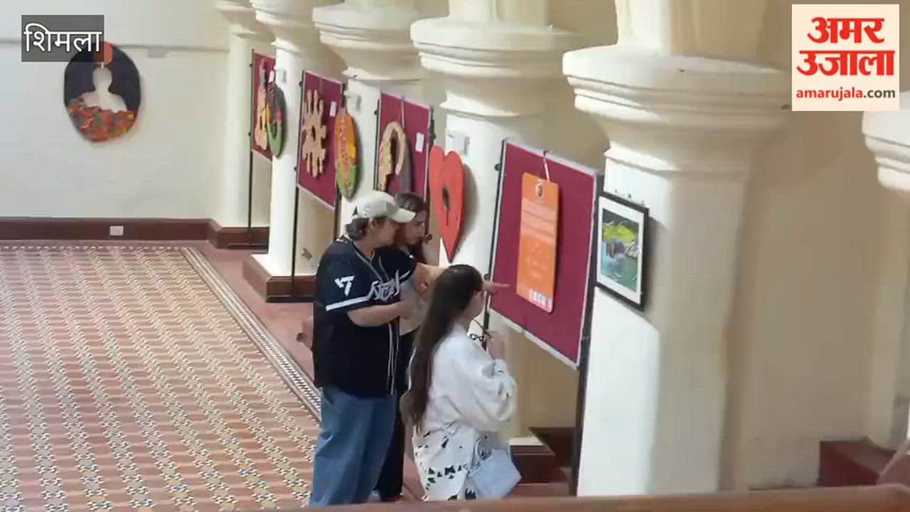 Shimla Shri Janm Group Painting Exhibition Organized at Gaiety Theatre