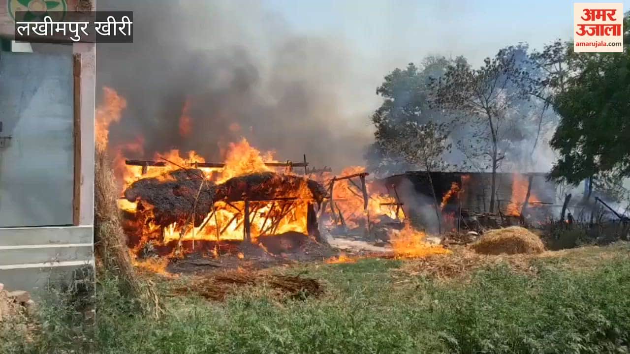 Havoc Wreaked by Fire in Lakhimpur Kheri Village