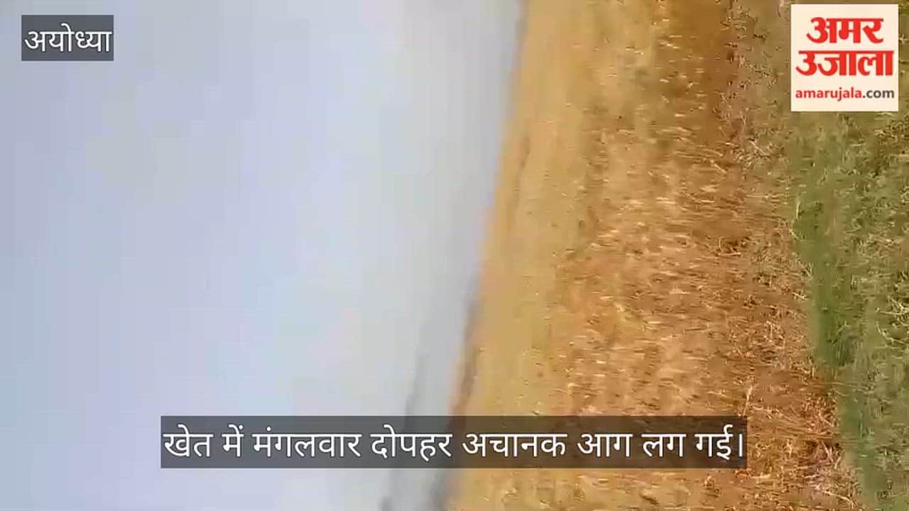 VIDEO: Ayodhya: बरवा झील स्थित खेत में लगी आग एक बीघा खेत जला