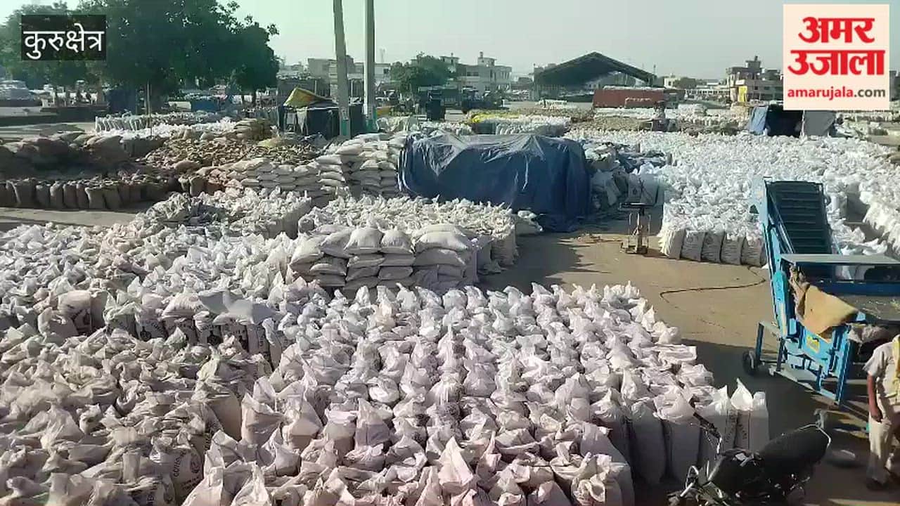 61% of farmers' payments are stuck due to lack of lifting.