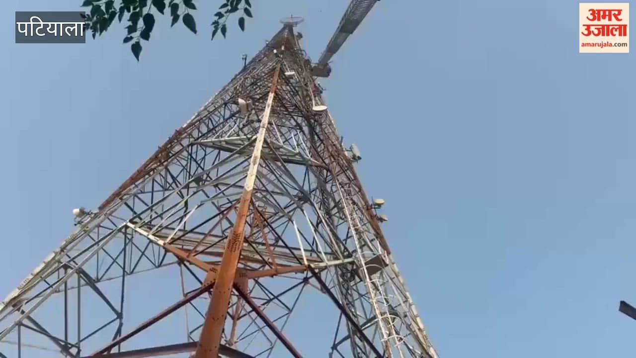 Patiala Gurjit Khalsa Climbs Down from 400 Foot High Telecom Tower Sacrilege Law