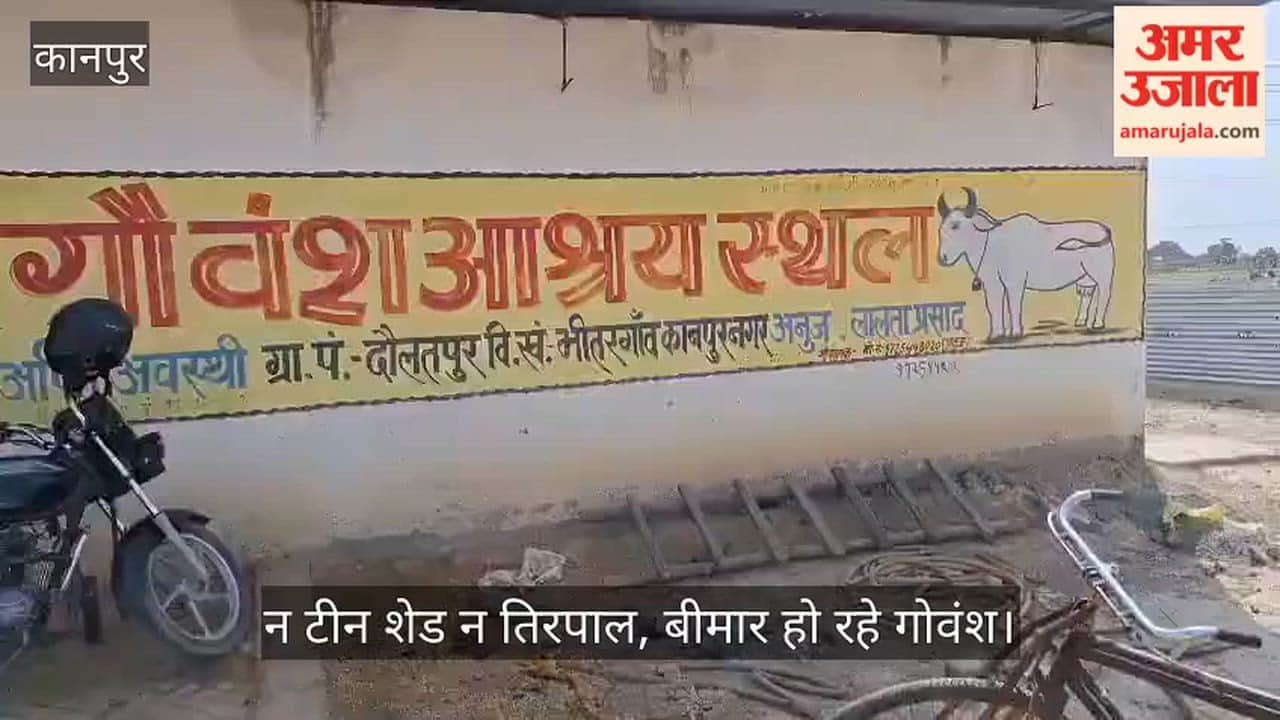 Kanpur Voiceless Creatures in Distress at Bhitargaon Fire Rains from the Sky at the Cow Shelter