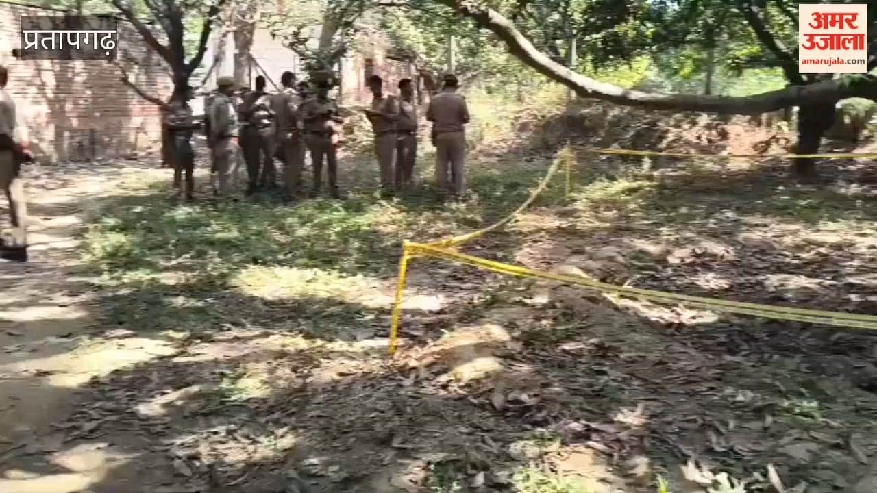 A young woman's body was found hanging from a tree in Manikpur, Pratapgarh, suspicion of murder.