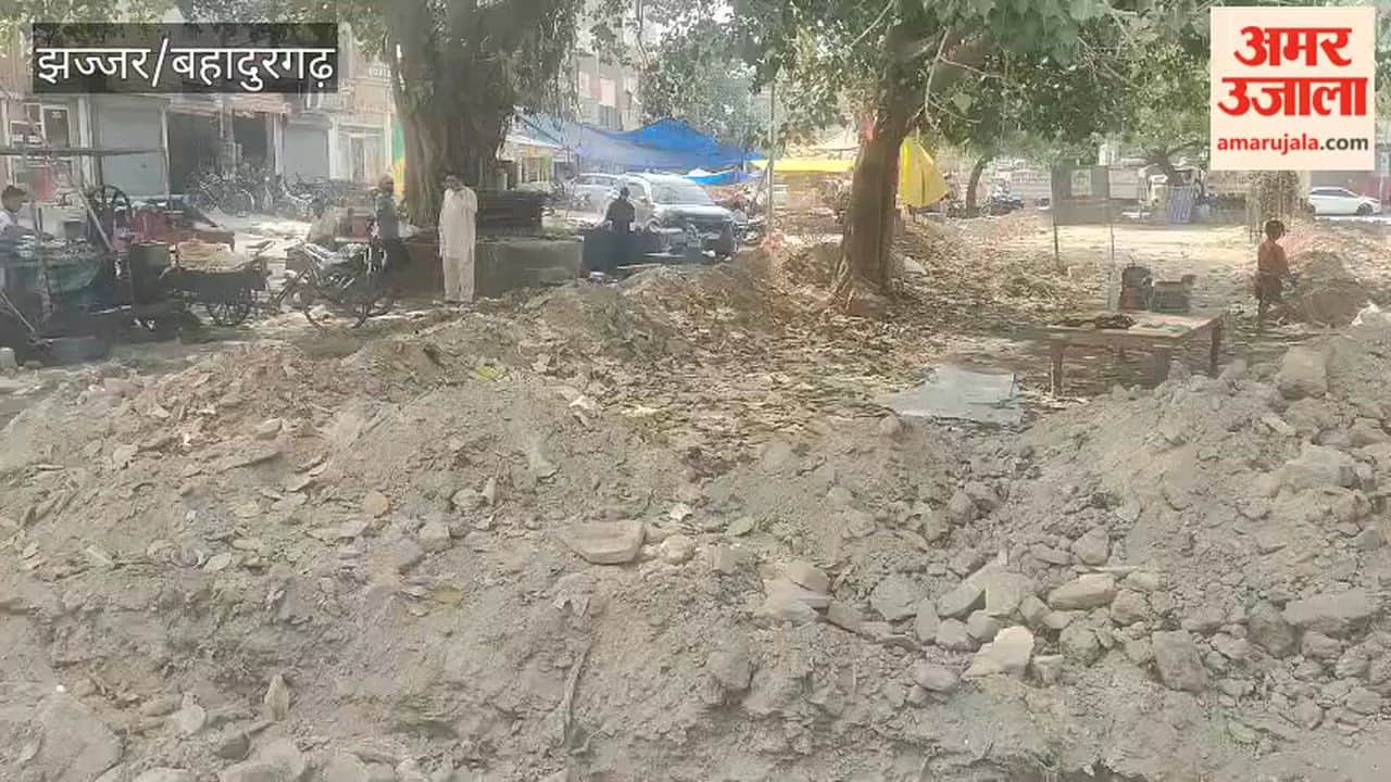 Work on the incomplete green belt of Sector-9 started on the orders of the Chief Minister.