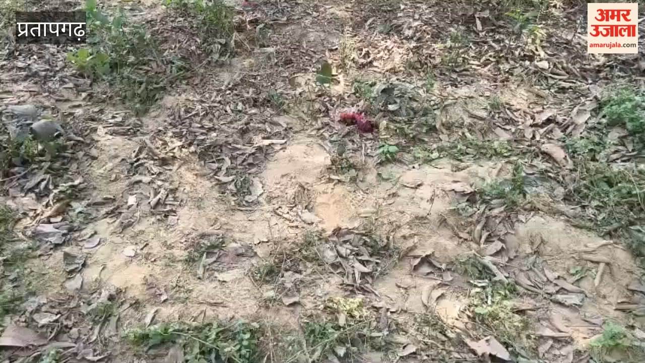 The body of a young woman, who had passed her intermediate exams a few days ago, was found hanging from a mango tree in Pratapgarh.