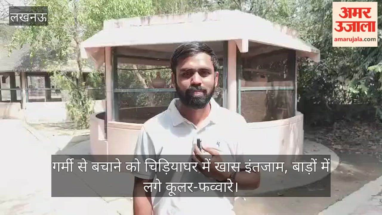 Video: गर्मी से बचाने को चिड़ियाघर में खास इंतजाम, बाड़ों में लगे कूलर-फव्वारे